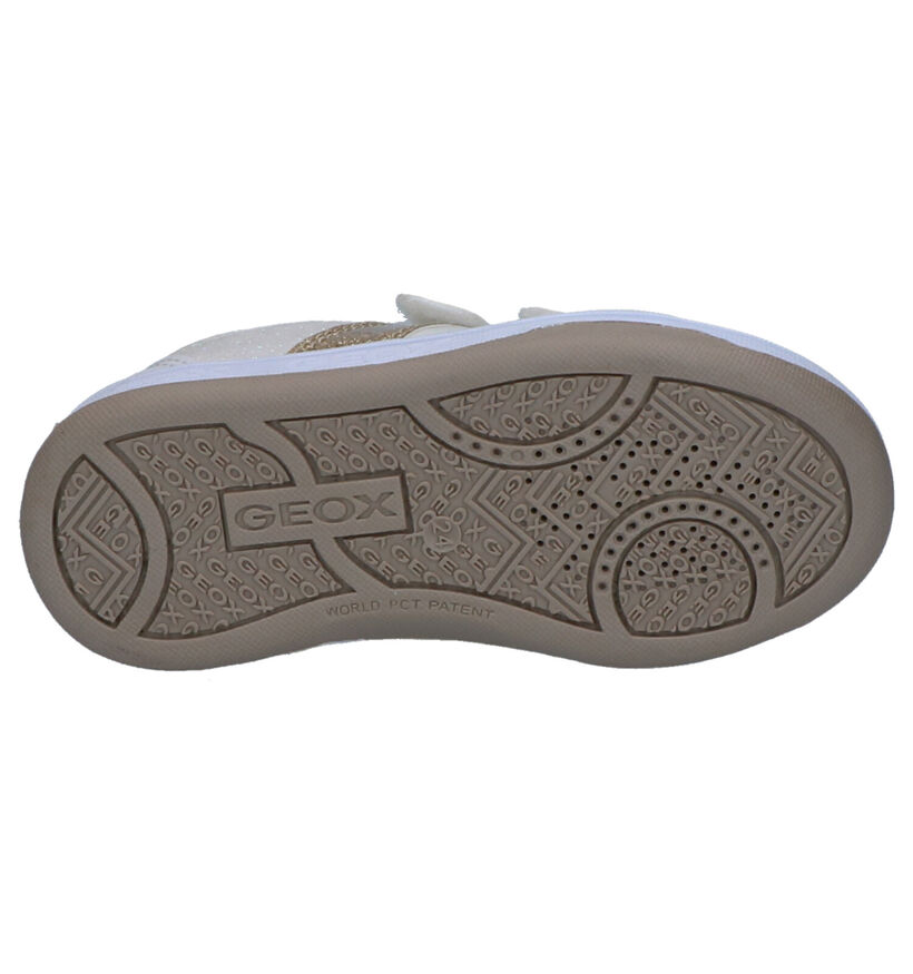 Geox Chaussures basses en Blanc en simili cuir (265776)
