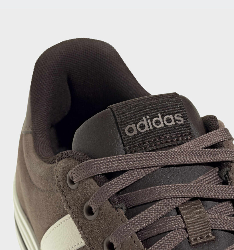 adidas Daily 4.0 Baskets basses en Marron pour hommes (366872)
