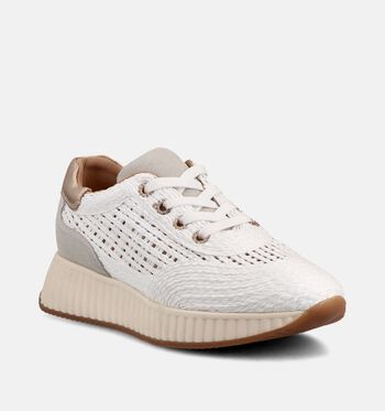 Signatur Baskets Blanc/Or