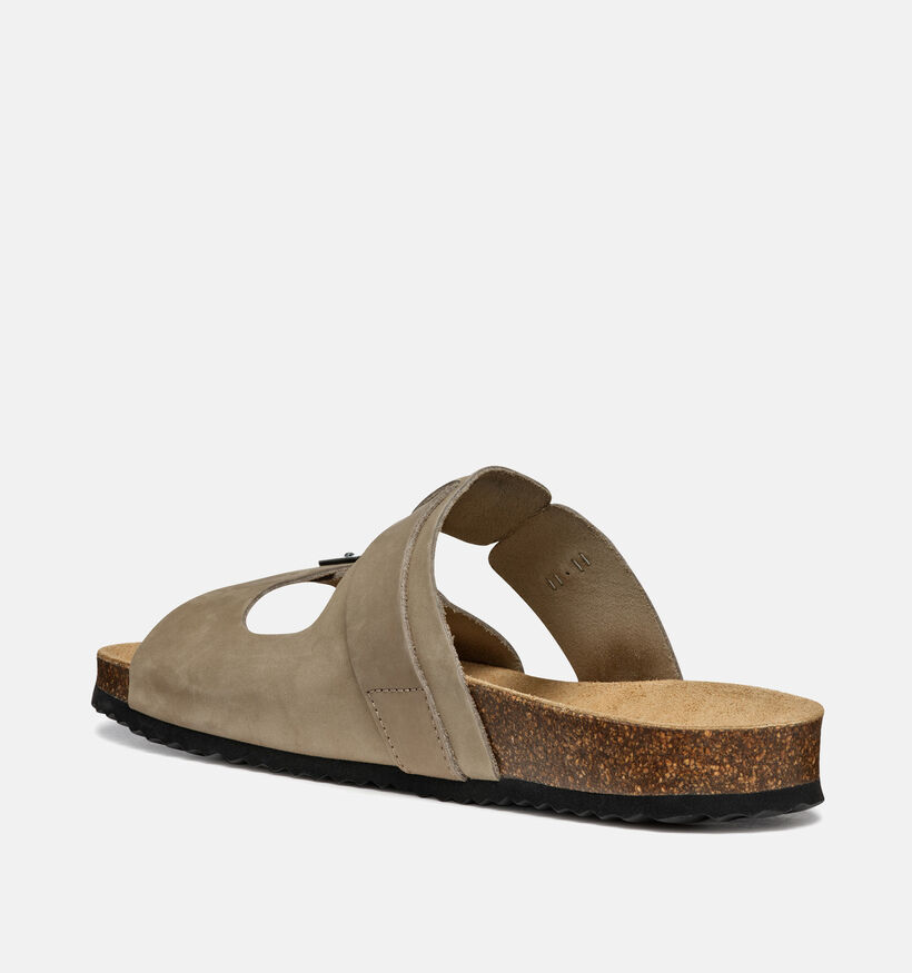 Geox Taupe Slippers voor heren (367991)