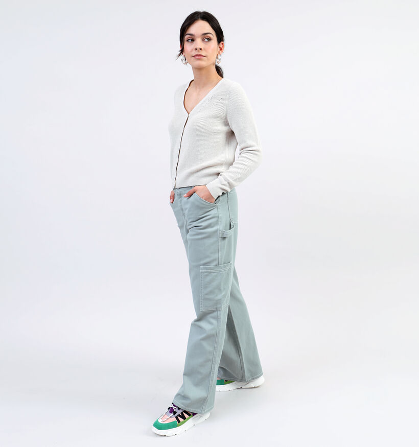 Vero Moda Newlex Shine Blauwe Cardigan voor dames (327027)
