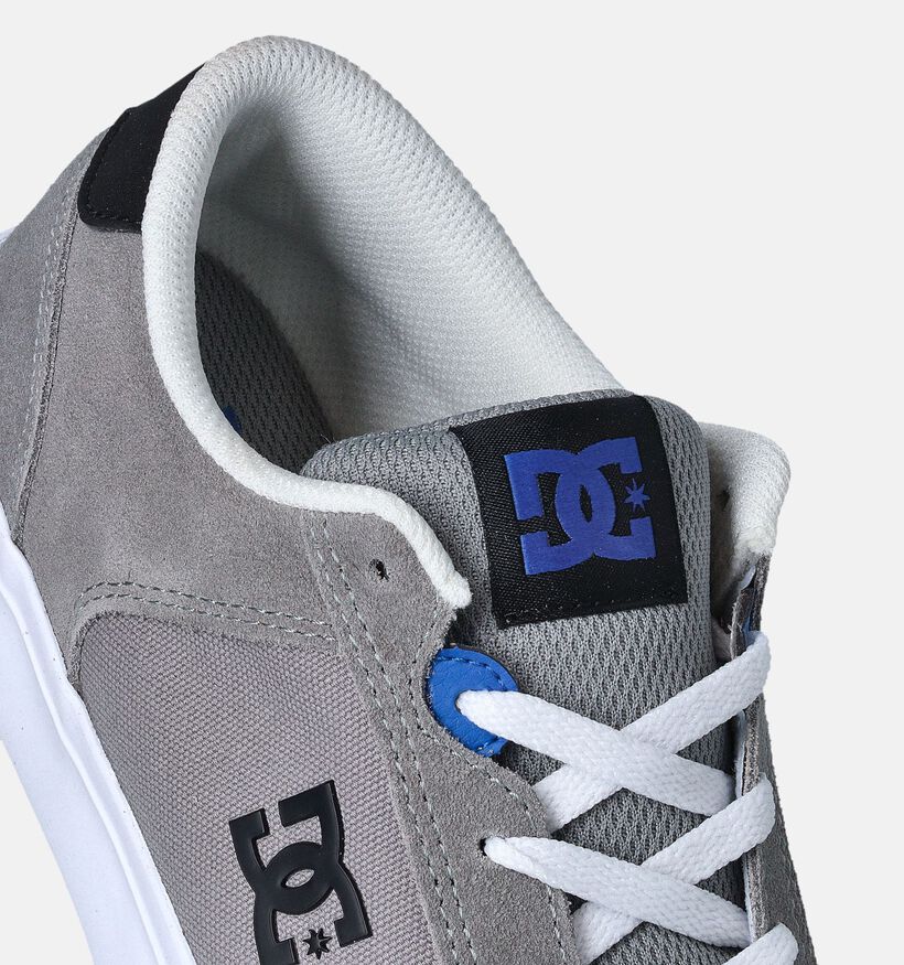 DC Shoes Teknic Grijze Sneakers voor jongens (361767)