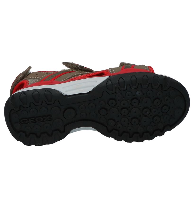 Geox Sandales en Rouge en simili cuir (213177)