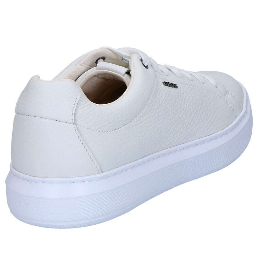 Geox Chaussures basses en Blanc en cuir (270023)