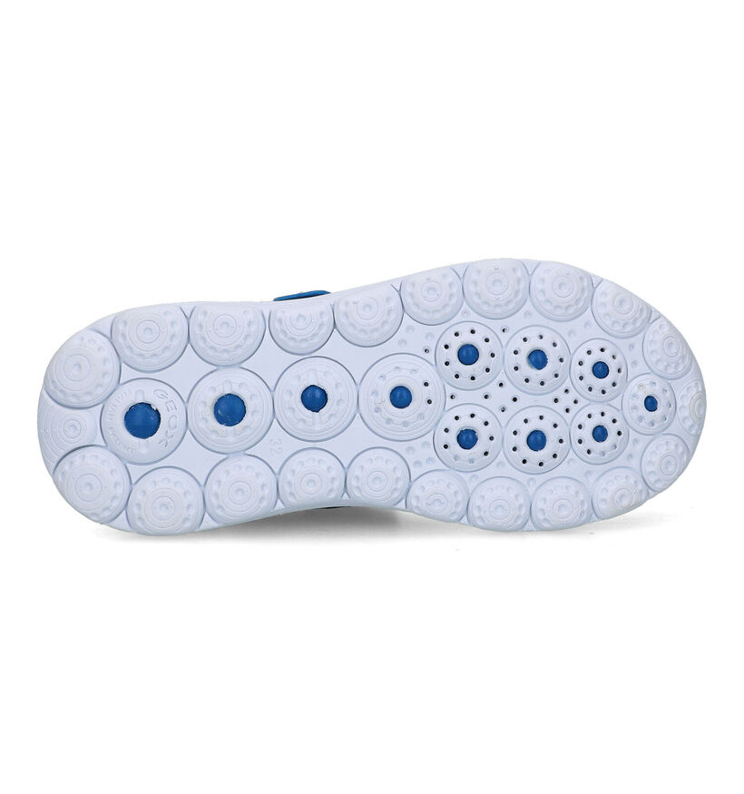 Geox Spherica Baskets en Bleu pour garçons (326618)