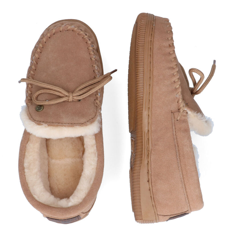 Warmbat Koala Pantoufles en Brun pour femmes (314443)