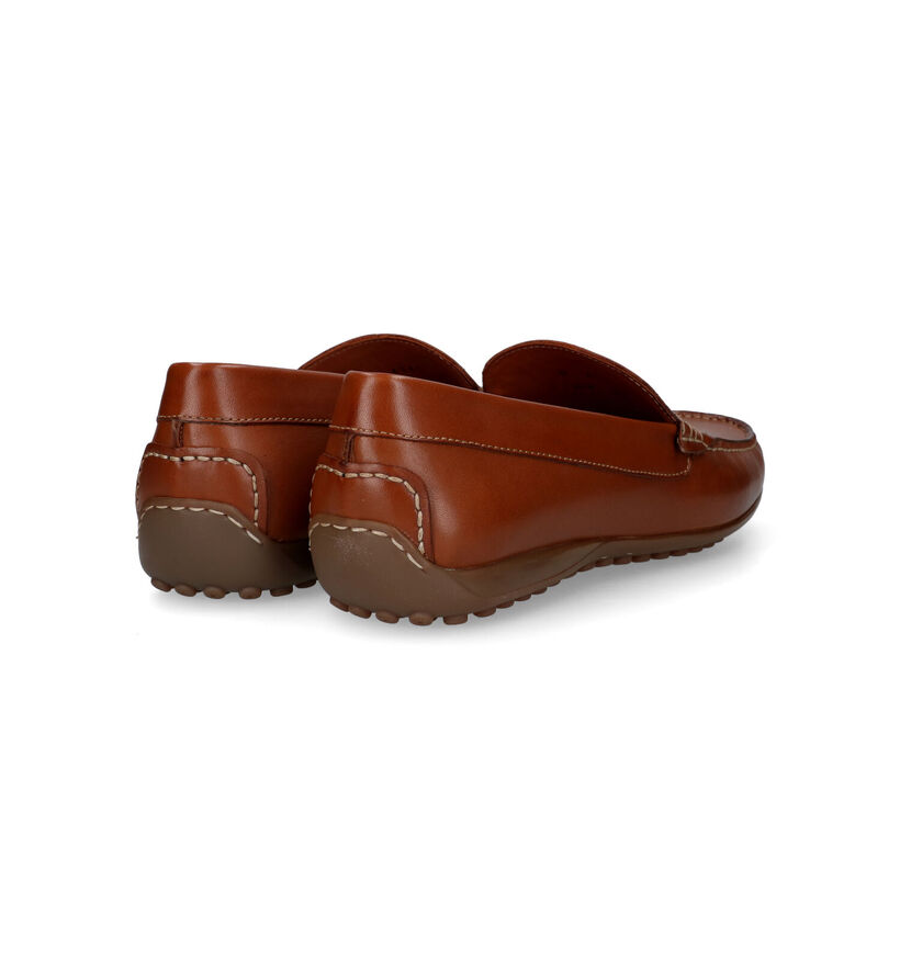 Ambiorix Corsica Mocassins en Cognac pour hommes (324848)