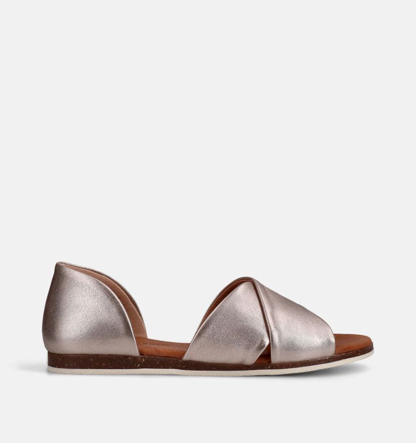 Apple of Eden Chiusi Gouden Sandalen voor dames (372269)