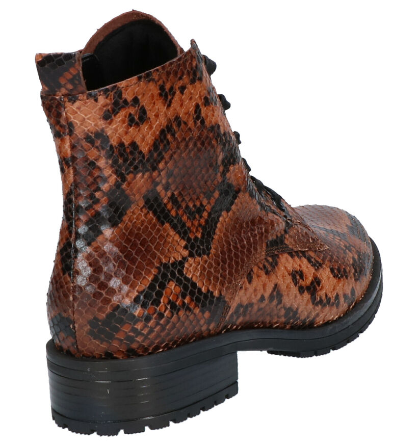 Gabor Cognac Bottines in leer (260237)