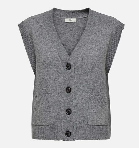 JDY Vestes Beige/Gris