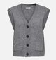 JDY Super Life Gilet en Gris pour femmes (359928)