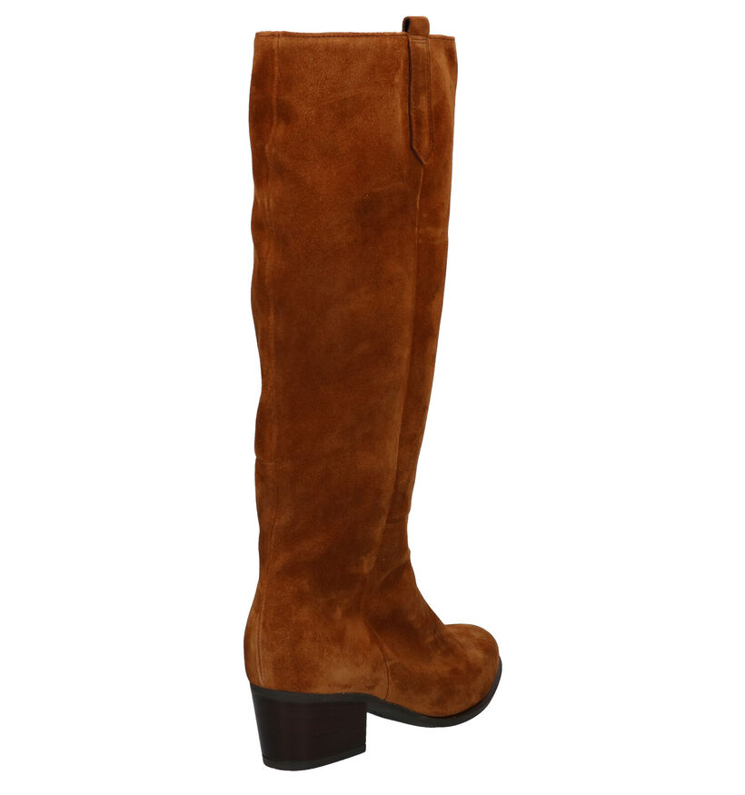 Gabor Bottes hautes en Cognac en daim (291903)