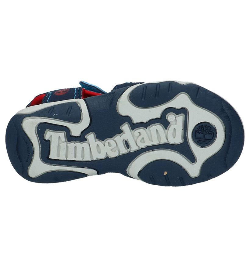 Timberland ADVSKR 2STRP Sandales en Bleu pour garçons (305832)