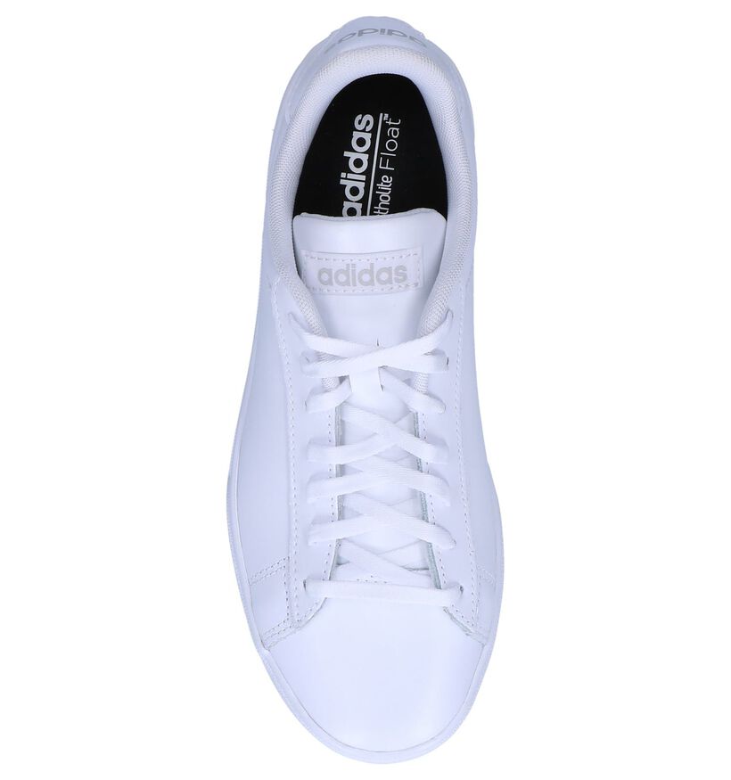 adidas Daily 2.0 Baskets en Blanc en cuir (237045)