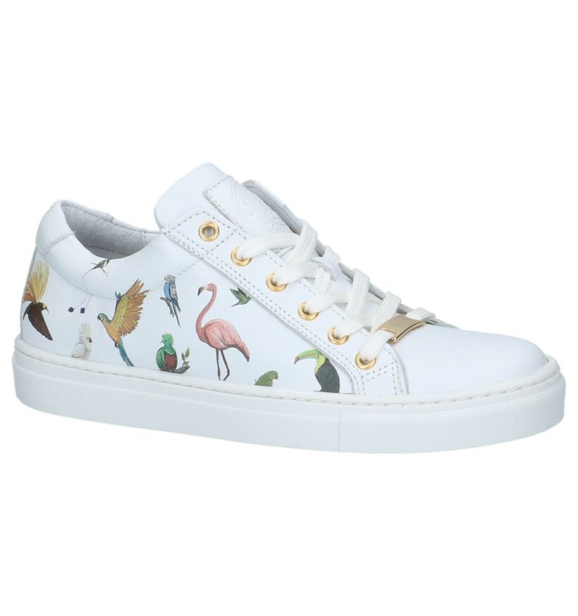 Hampton Bays Witte Sneakers Rits/Veter met Tekening Dieren in leer (213237)