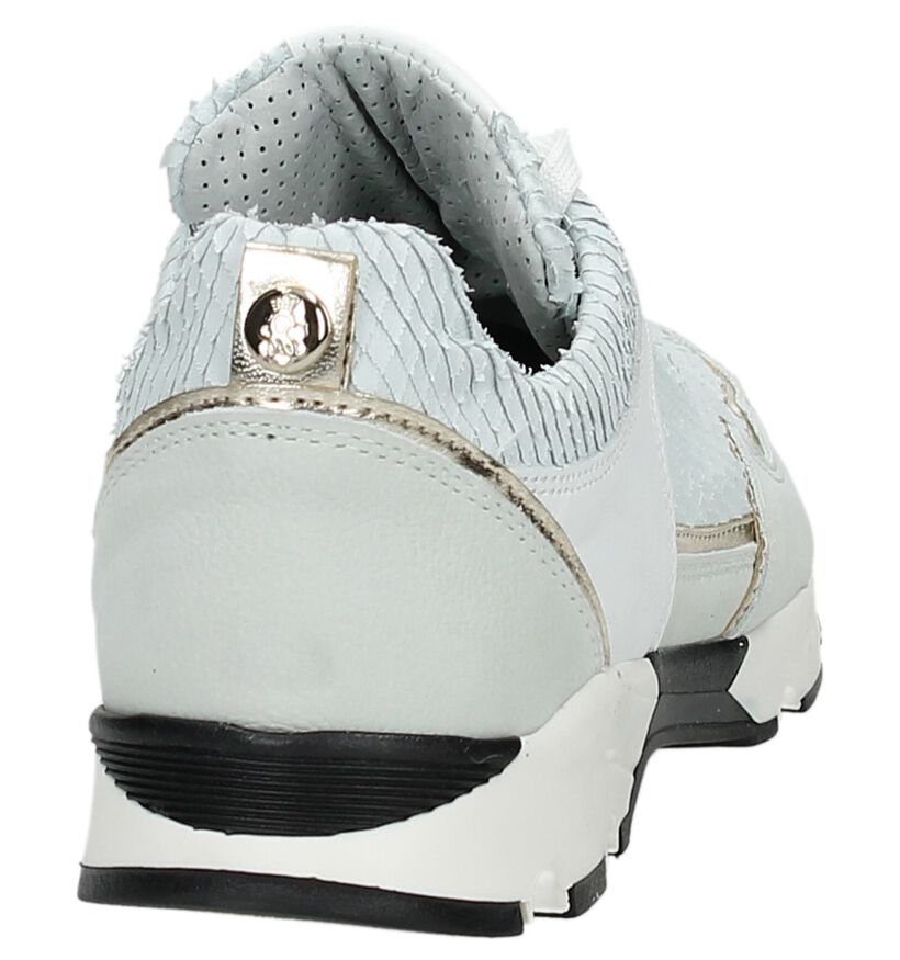 Scapa Sneakers basses  (Blanc), , pdp