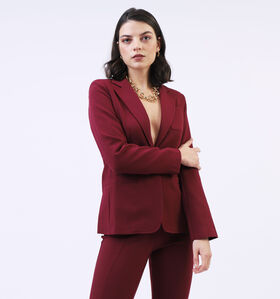 Mexx Bordeaux Blazer (326397)