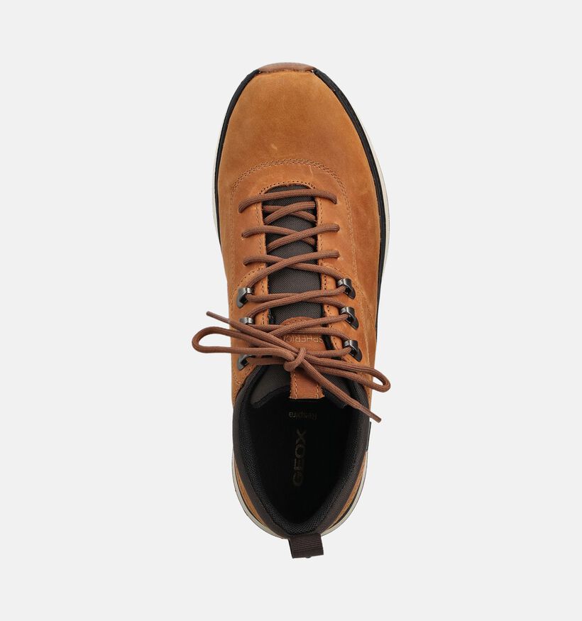 Geox Spherica Actif Chaussures plates en Cognac pour hommes (360113) - pour semelles orthopédiques