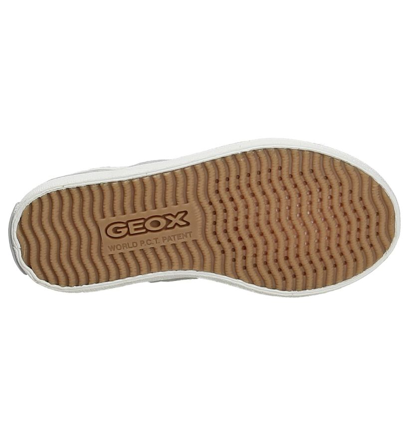 Geox Ballerines en Blanc en textile (190693)