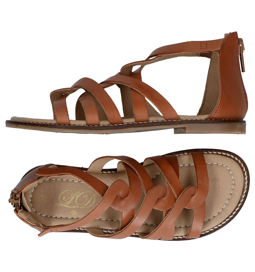 Little David Kaylee Cognac Sandalen voor meisjes (289891)