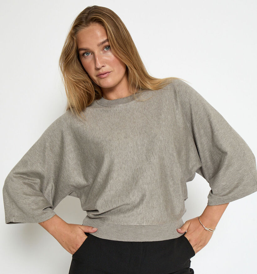 Minus Tess Grijze Trui voor dames (361731)