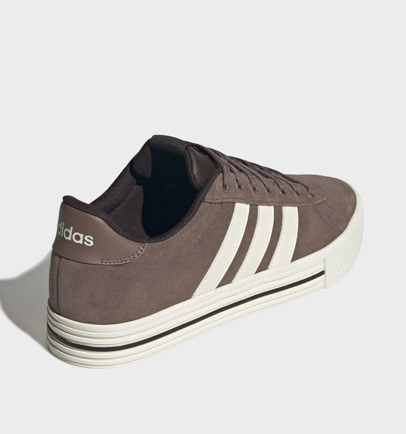 adidas Daily 4.0 Bruine Sneakers voor heren (372615) - geschikt voor steunzolen