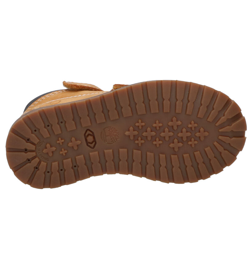 Pokey Pine Chaussures hautes en Brun foncé en daim (254748)