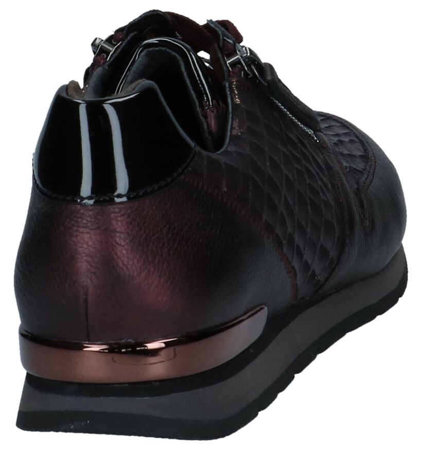Gabor Comfort Chaussures à lacets en Violet foncé en cuir verni (231163)