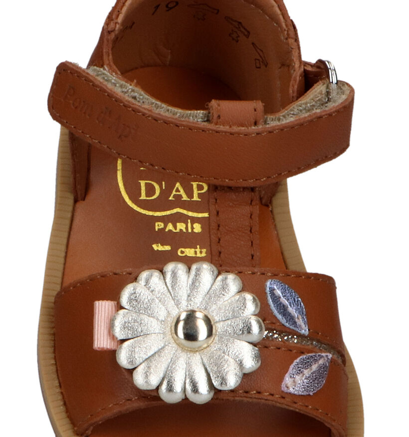 Pom d'Api Poppy Daisy Sandales pour bébé en Or rosé pour filles (337987)