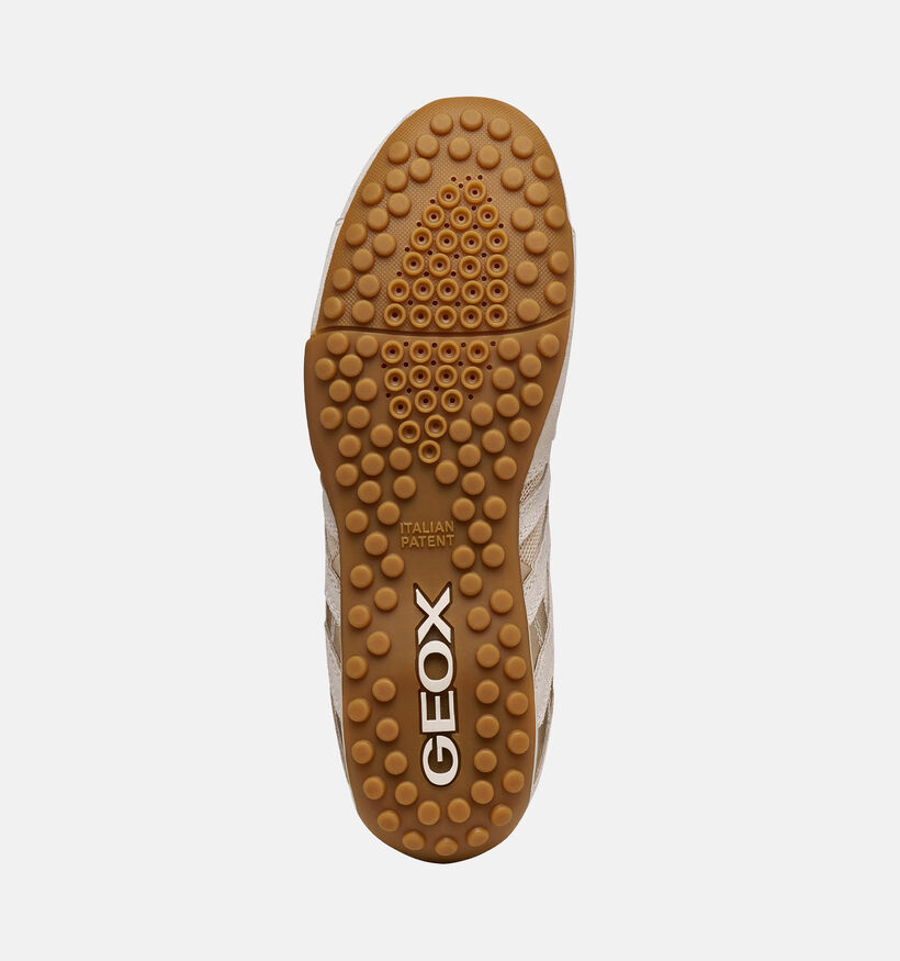 Geox Snake Original Baskets casual en Beige pour femmes (368487) - pour semelles orthop&eacute;diques