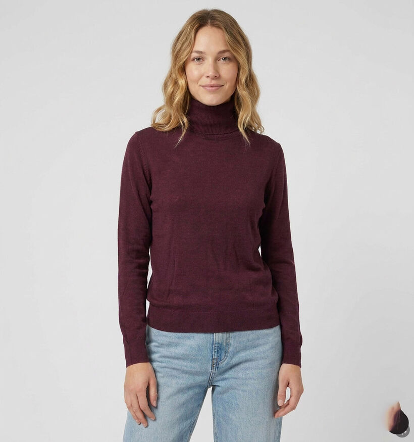 Orfeo Aliz Pull en Bordeaux pour femmes (381668)