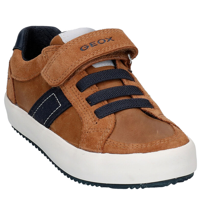 Geox Cognac Lage Sneakers in leer (265804)
