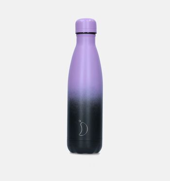 Gourde violet