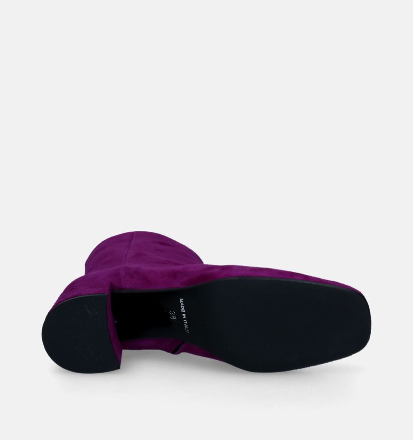 Signatur Bottines à talons en Violet pour femmes (314668)