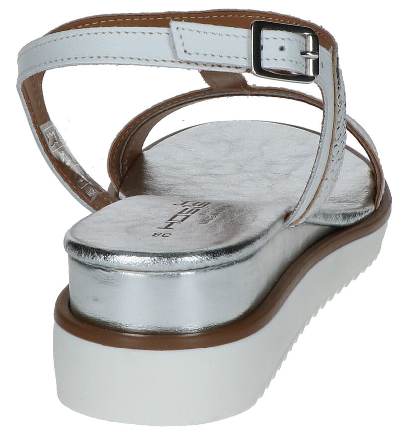 Zilveren Sandalen met Sleehak Hosis in leer (248783)