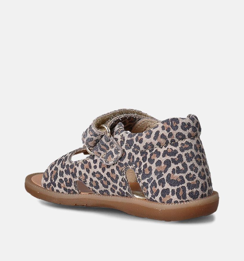 Naturino Revion Jaguar Bruine Sandalen voor meisjes (356303)