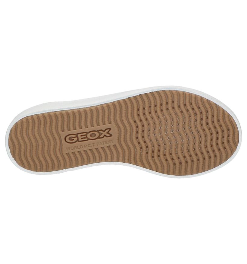 Geox Chaussures basses en Beige foncé en textile (210503)