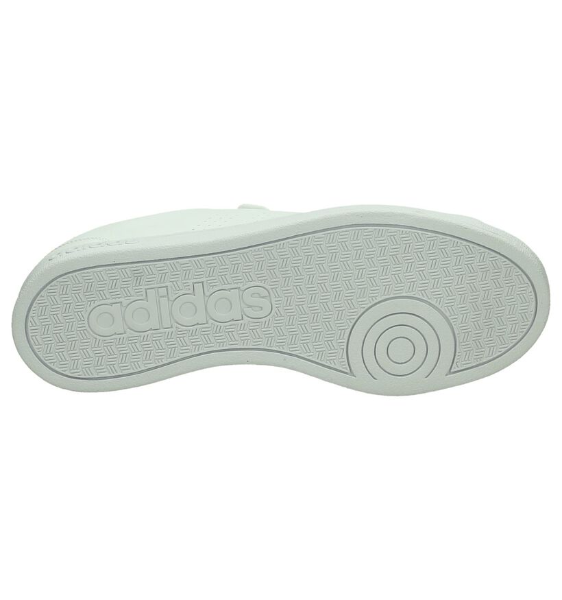 Witte adidas Advantage Clean Sneakers, , pdp