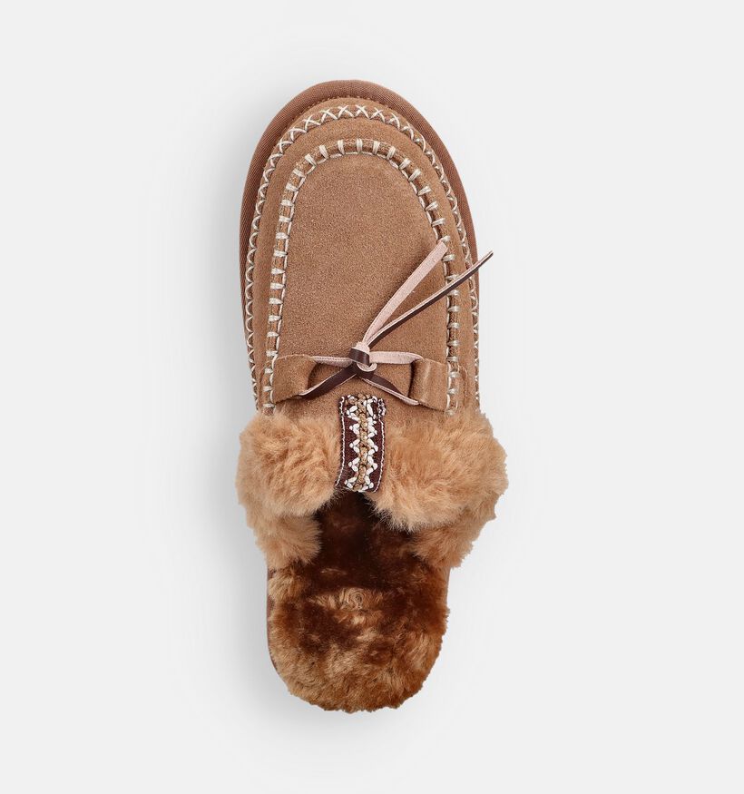 Torfs Home Pantoufles en Marron pour femmes (364865)