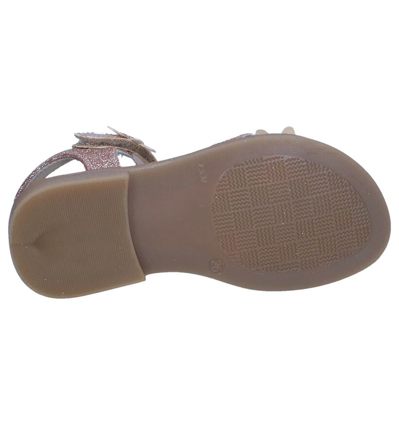 Rose Golden Sandalen Lunella in leer (238973)