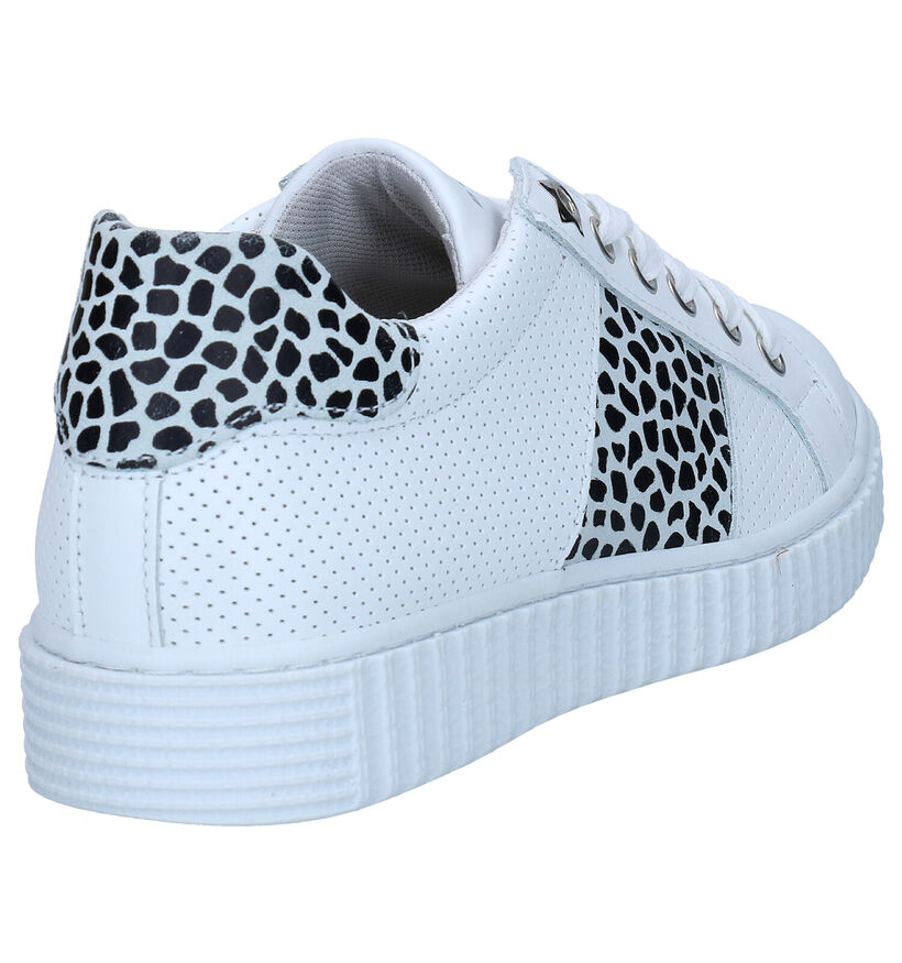 Bullboxer Baskets basses en Blanc en cuir (289314)