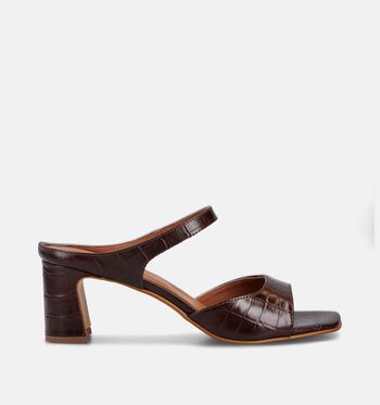 Laurent David Slippers Bruin