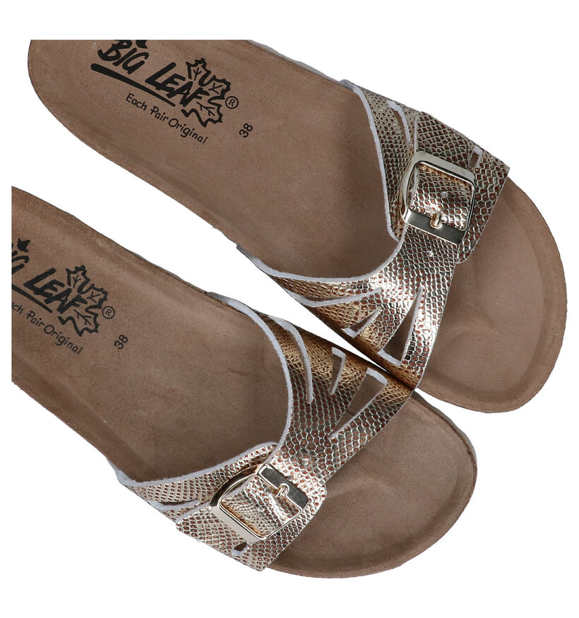 Big Leaf Gouden Slippers in stof (292596)