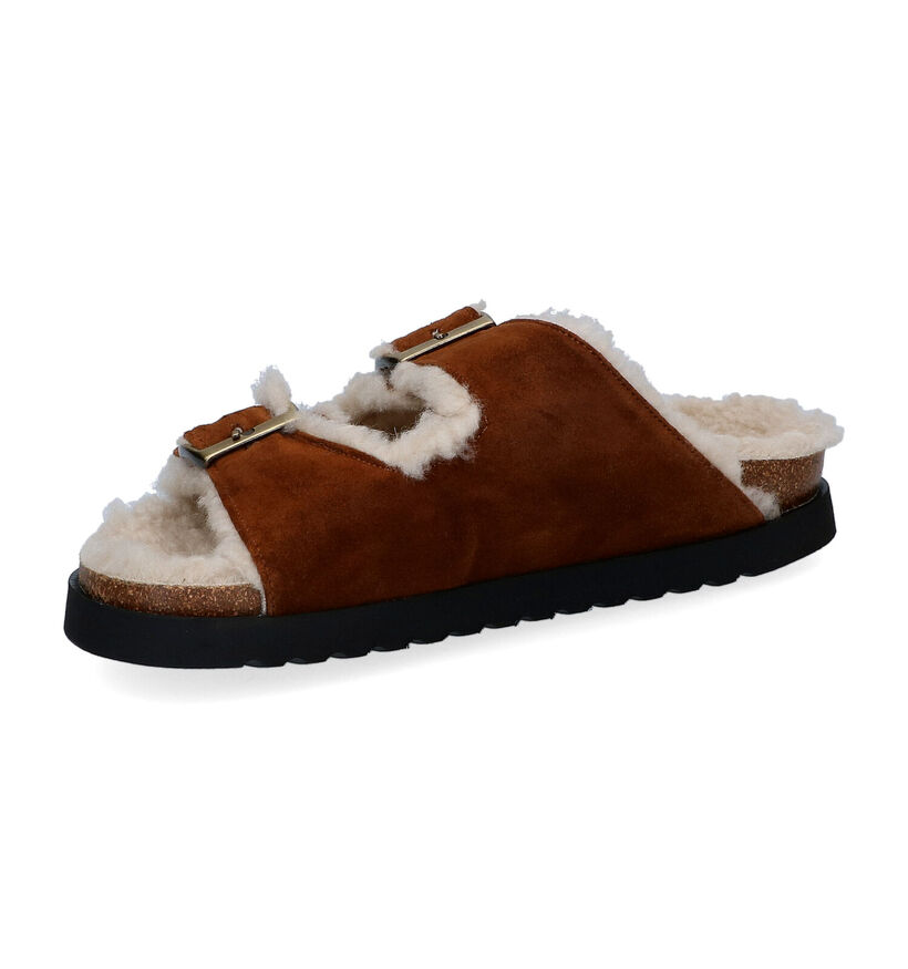 Gabor Cognac Slippers in daim (300237)