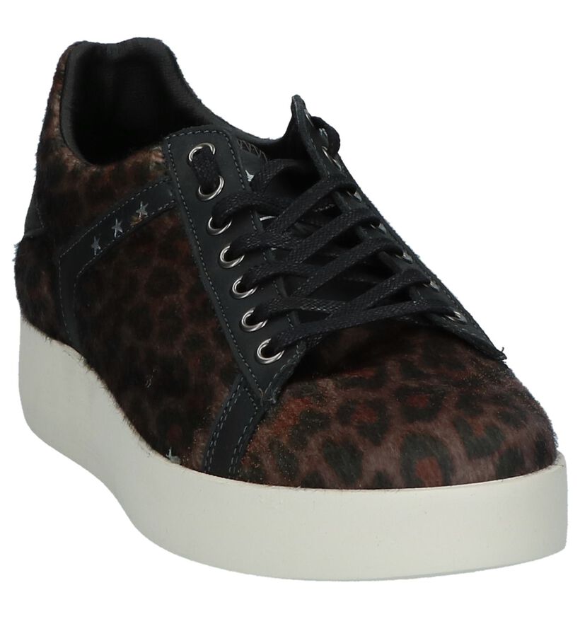 Bruine Sneakers Pantofola d'Oro Lecce Leopard Donne Low in leer (227336)