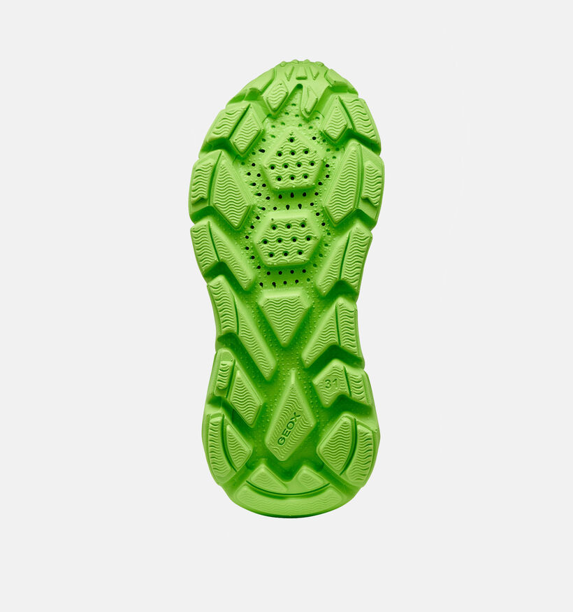 Geox Flextyper Baskets basses en Bleu fonc&eacute; pour gar&ccedil;ons (368457) - pour semelles orthop&eacute;diques