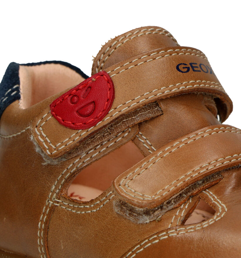 Geox Macchia Chaussures pour bébé en Cognac pour garçons (325551)