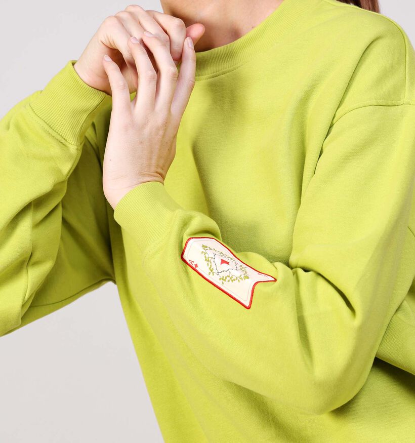 Pieces Muggi Sweatshirt en Vert pour femmes (365637)