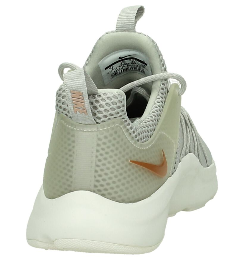 Grijze Lage Sneakers Nike Darwin , , pdp