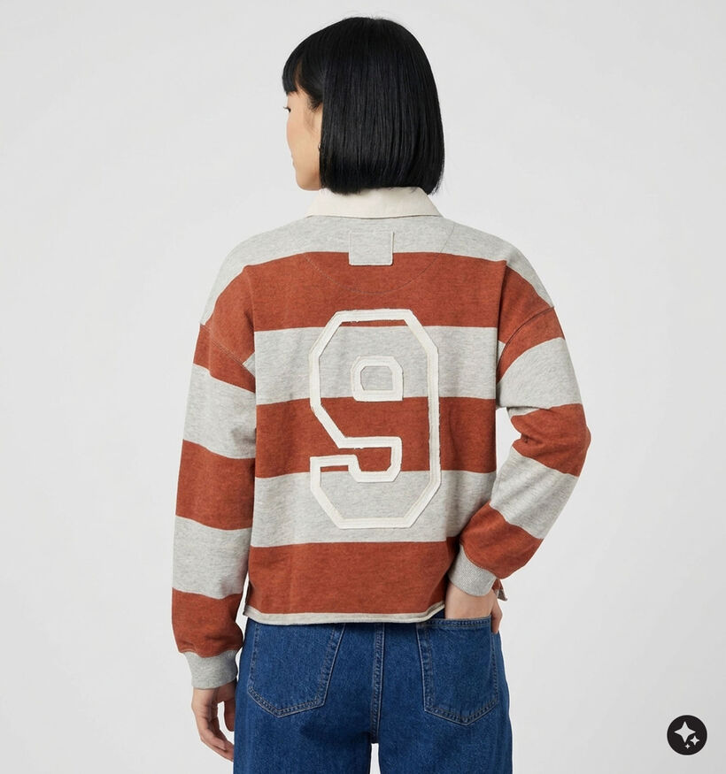 The Shirt Project Grijze/Rode Sweater voor dames (381897)